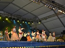 Festival de Folkore en Mula